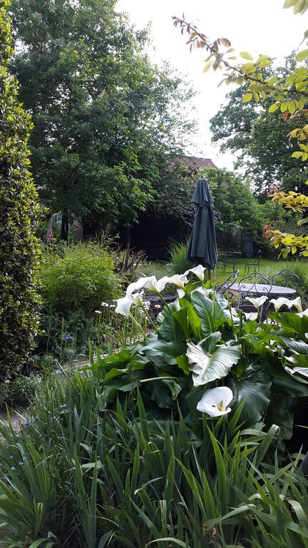La Gentilhommiere Bed & Breakfast Chantepie Bagian luar foto